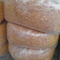 سیر داغ سیر سرخ شده همدان