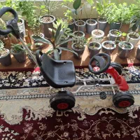 چهارچرخ کودک|اسباب‌‌بازی|شاهین‌شهر, گزبرخوار|دیوار