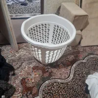 رگال لباس|بندرخت و رخت‌آویز|اهواز, شهرک دانشگاه|دیوار