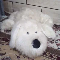 اسباب بازی و وسایل خونه