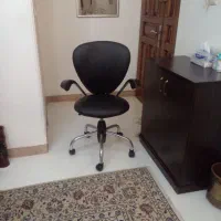 صندلی چرخدار|صندلی و نیمکت|کرج, گوهردشت|دیوار