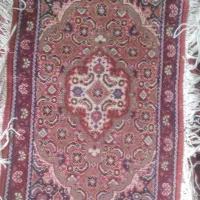 پادری ریزه ماهی جفت|فرش|اردبیل, |دیوار