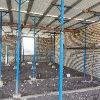 اجرای سقف و استحکام بنا|خدمات پیشه و مهارت|نیشابور, خیام|دیوار