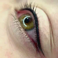 تتوابروفیبروز،میکرو،خط چشم،شیدینگ لب،بن مژه|خدمات آرایشگری و زیبایی|سبزوار, پاسداران|دیوار