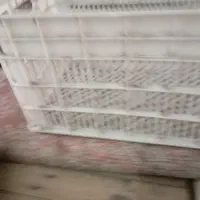 سبد|ظروف نگهدارنده، پلاستیکی، یک‌بارمصرف|گلستان (تهران), |دیوار