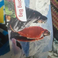 کیسه خواب آمریکایی|کوهنوردی و کمپینگ|بندر انزلی, جهانگانی|دیوار