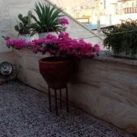 اجاره کوتاه مدت ویلایی بالای همکف درمجزا باپارکینگ|اجارهٔ کوتاهمدت آپارتمان و سوئیت|دوگنبدان, |دیوار