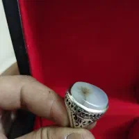 انگشتر شجر قائن