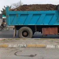 کود حیوانی