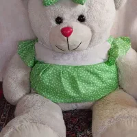 خرس دخترانه|اسباب‌بازی بچه|کرج, حصارک پایین|دیوار