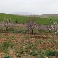 باغچه ـ زمین ـ هزار متری