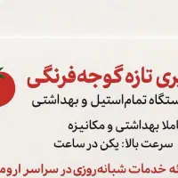 آب گیری گوجه فرنگی