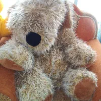 عروسک در حد نو با قیمت مناسب|اسباببازی|ارومیه, |دیوار