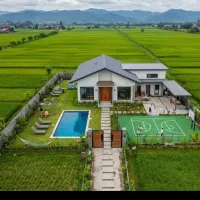 پیشنهاد وهم فکری