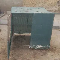 قفس برای انواع پرنده