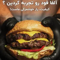 آشپز ماهر فست فود ( فرنگی کار)