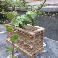 گل بنسای با گلدان سنگی