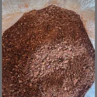 ۵۰ کیلو پودر هسته خرما خالص مناسب طیور مرغ