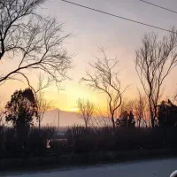 راهپیمایی در پاک