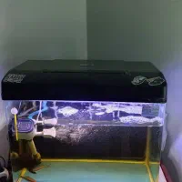 آکواریوم شیشه خم شرکتی