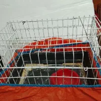 قفس پرنده ، قفس همستر و خرگوش