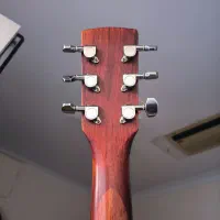 گیتار آکوستیک Cort|گیتار، بیس، امپلیفایر|تهران, دهکده المپیک|دیوار