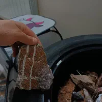 کلکسیون سنگ های زینتی و فسیل صدف و حلزون دریایی|کلکسیون و سرگرمی|اصفهان, جلالیه|دیوار