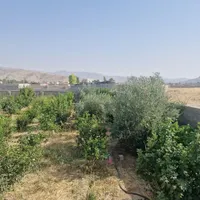 فروش زمین ۵۸۵ متری|فروش زمین و ملک کلنگی|ایذه, |دیوار