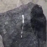 سنگ میخ ذوب کن تسویه انی