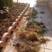 هرس و فرم دهی باغ و باغچه