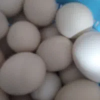 تخم مرغ محلی تازه ونطفه دارن