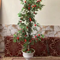 گلدان