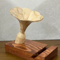 درامافون چوبی|صنایع دستی و سایر لوازم تزئینی|چهاردانگه (تهران), |دیوار