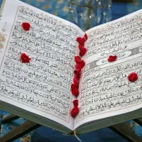 د ع ا سرکتاب تضمینی نتیجه فوری