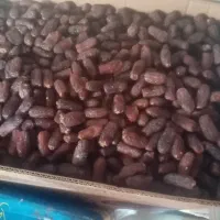 خرمای پیارم درجه یک