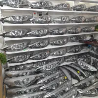 طلق و چراغ ۲۰۷ دناپلاس تارا جک سورن همه ماشینها|قطعات یدکی و لوازم جانبی|تهران, مسعودیه|دیوار