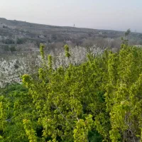 باغ-ویلا-خانه-قدیمی