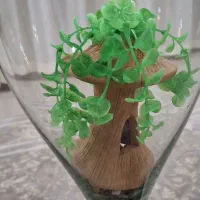 آکواریوم تنگ بزرگ ماهی با وسایل