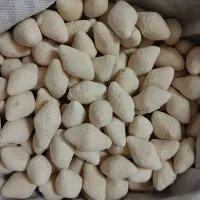 کشک  تربت جام