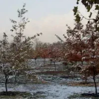 فروش زمین نقد و اقساط