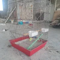 ۲ عدد قفس پرنده بزرک و کوچک