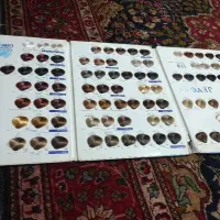 کاتالوگ رنگ مو و ابروشس عدد