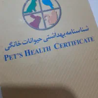 سگ پاکوتاه|سگ|رفسنجان, |دیوار