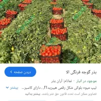 استخدام نیروی کار