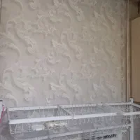 یک عددزبرا دبل شید