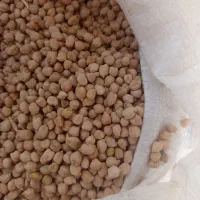 فروش نخود ریز چگنی