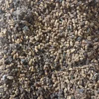 توت خشک|خوردنی و آشامیدنی|اهر, |دیوار