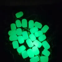 تسبیح شب نما