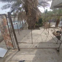 قفس بزرگ|لوازم جانبی حیوانات|جیرفت, |دیوار