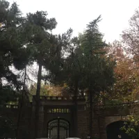 اقدسیه 880 متر ویلایی دربست|فروش خانه و ویلا|تهران, اقدسیه|دیوار